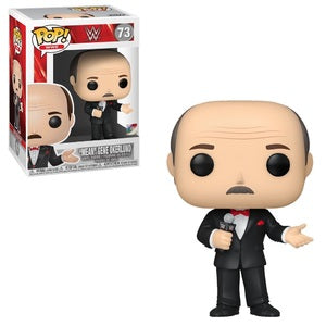 WWE Pop! Vinyl Figure 