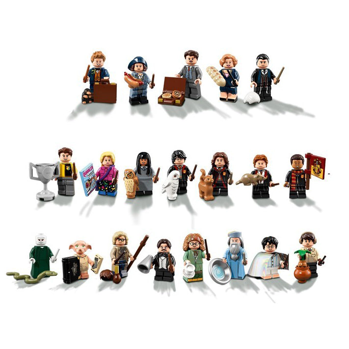 LEGO Harry Potter Fantastic Beasts Minifigures (71022) (1 Blind Pack) - Fugitive Toys